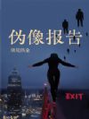 伪像报告